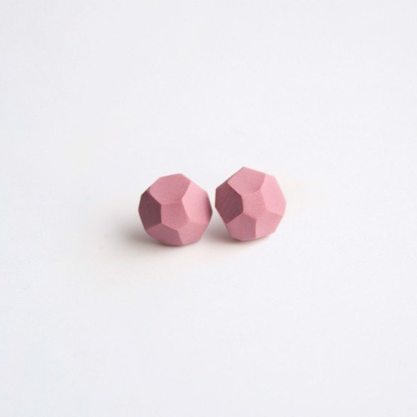 Picture of Rose Silver Earrings 'Stones'