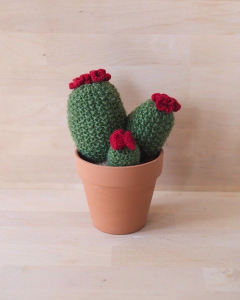 Picture of Triple Crochet Cactus in Large Terracotta Pot