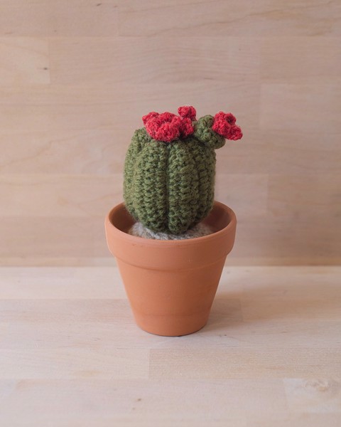 Picture of Crochet cactus with a Branch in Large Terracotta Pot