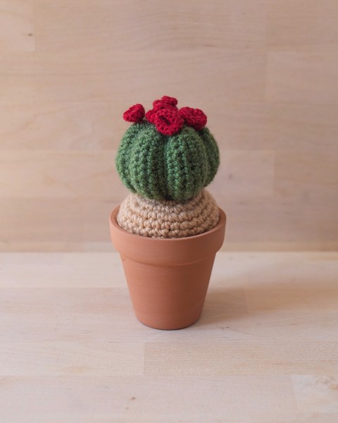 Picture of Round Crochet Cactus in Small Terracotta Pot