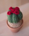 Picture of Round Crochet Cactus in Small Terracotta Pot