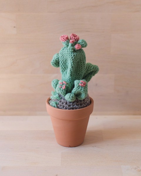 Picture of Light Green Crochet Cactus with Pink Flowers in Small Terracotta Pot