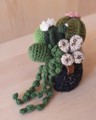 Picture of Crochet Garden with 6 Succulents & Cactuses in a Pot