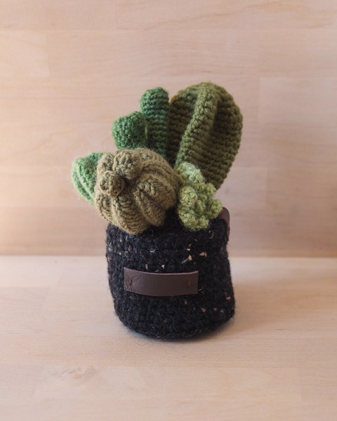 Picture of Green Crochet Garden with 5 Succulents & Cactuses in a Pot