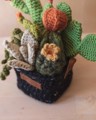 Picture of Large Crochet Garden with 7 Succulents & Cactuses in Black Pot