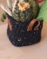 Picture of Large Crochet Garden with 7 Succulents & Cactuses in Black Pot