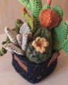 Picture of Large Crochet Garden with 7 Succulents & Cactuses in Black Pot