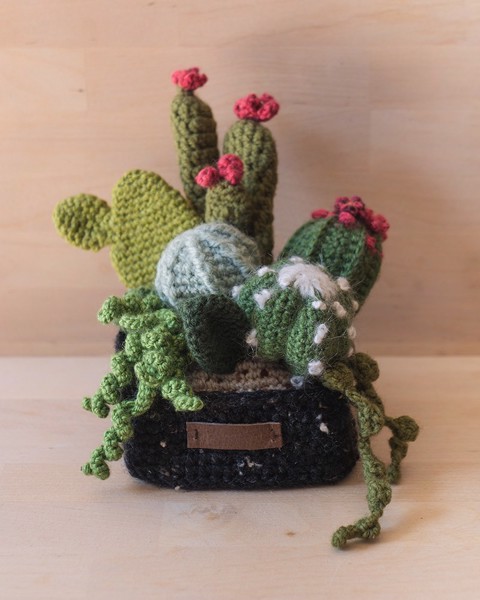 Picture of Large Crochet Garden with 8 Succulents & Cactuses in Black Square Pot