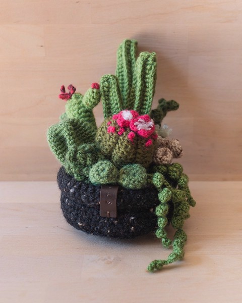Picture of Large Crochet Garden with 9 Succulents & Cactuses in Black Pot