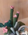 Picture of Large Crochet Garden with 7 Succulents & Cactuses in Grey Pot