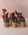 Picture of Mini Crochet Cactus in a Pot