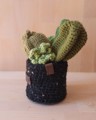 Picture of Green Crochet Garden with 5 Succulents & Cactuses in a Pot