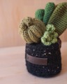 Picture of Green Crochet Garden with 5 Succulents & Cactuses in a Pot