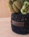 Picture of Green Crochet Garden with 5 Succulents & Cactuses in a Pot